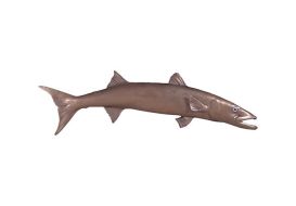 Barracuda Fish (Finish: Bronze)