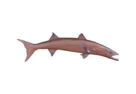 Barracuda Fish (Finish: Rust)