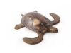 Turtle Wall Tile Resin