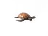 Turtle Wall Tile Resin