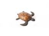 Turtle Wall Tile Resin