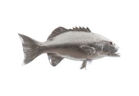 Coral Trout Fish (Finish: Silver Leaf)