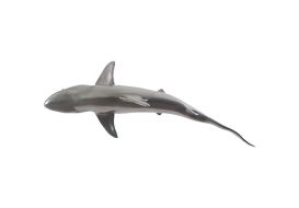 Whaler Shark (Finish: Silver Leaf)