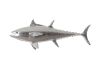 Bluefin Tuna Fish