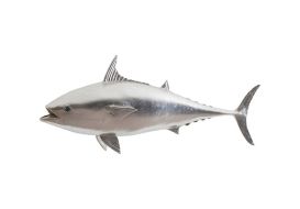 Mackerel Fish (Finish: Silver Leaf)