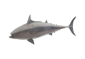 Mackerel Fish (Finish: Polished Aluminium)
