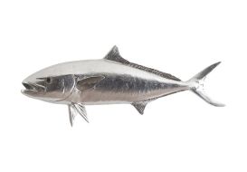 Yellow Tailed King Fish (Finish: Silver Leaf)