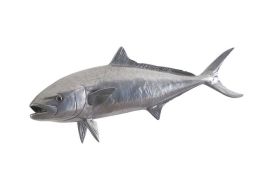 Yellow Tailed King Fish (Finish: Polished Aluminium)