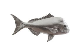 Australian Snapper Fish (Finish: Silver Leaf)
