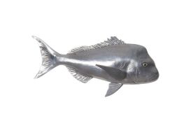 Australian Snapper Fish (Finish: Polished Aluminium)