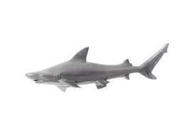 Black Tip Reef Shark (Finish: Polished Aluminium)