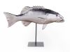 Fish Stand