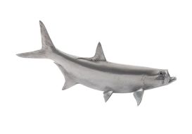 Tarpon Fish (Finish: Polished Aluminium)