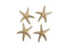 Starfish Gold Leaf Set of 4