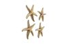 Starfish Gold Leaf Set of 4