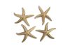 Starfish Gold Leaf Set of 4