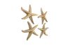 Starfish Gold Leaf Set of 4