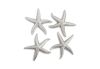 Starfish Gold Leaf Set of 4