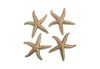 Starfish Gold Leaf Set of 4