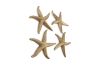 Starfish Gold Leaf Set of 4