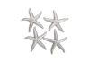 Starfish Gold Leaf Set of 4