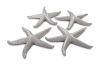 Starfish Gold Leaf Set of 4
