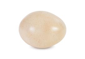 Sauropod Egg (Finish: Brown, Size: Small)