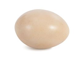 Sauropod Egg (Finish: Brown, Size: Large)