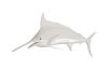 Blue Marlin Fish