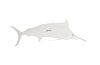 Blue Marlin Fish