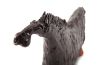 Short Horse Clay Animal